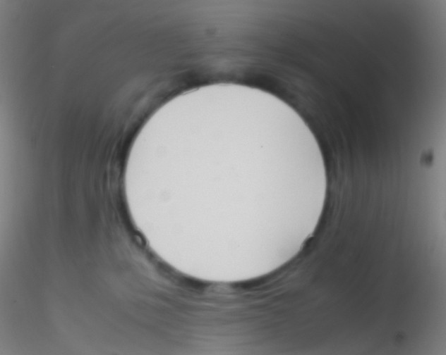 X0000115190231200911251427