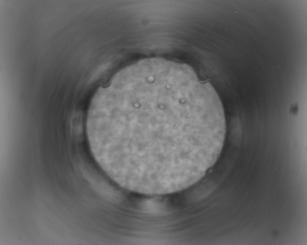 X0000115190232200911251427