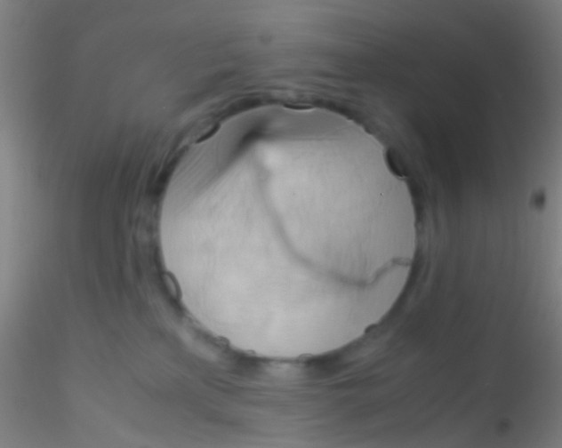 X0000115190233200911251427