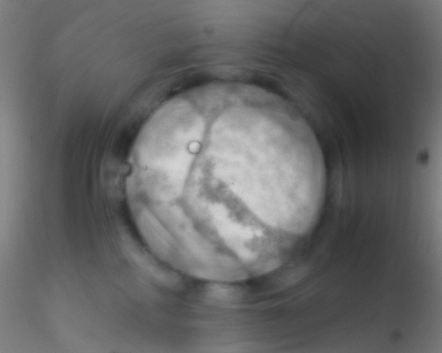 X0000115190234200911251427