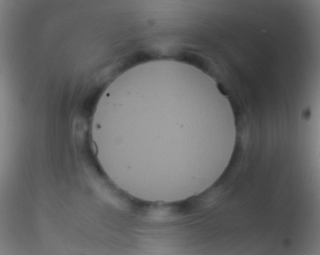 X0000115190235200911251427