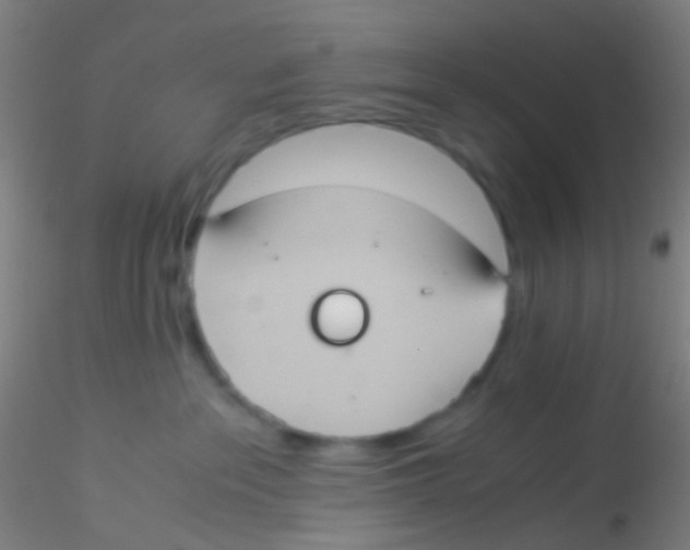 X0000115190237200911251427