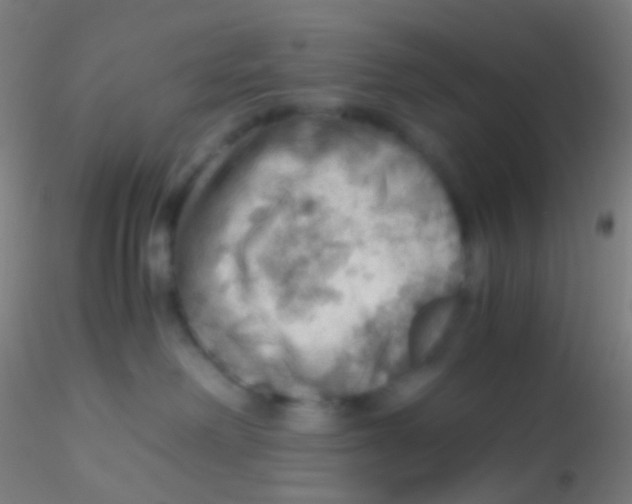 X0000115190238200911251427