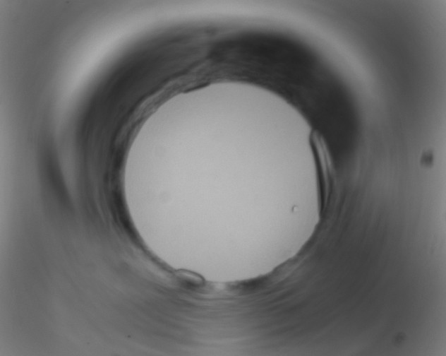 X0000115190239200911251427