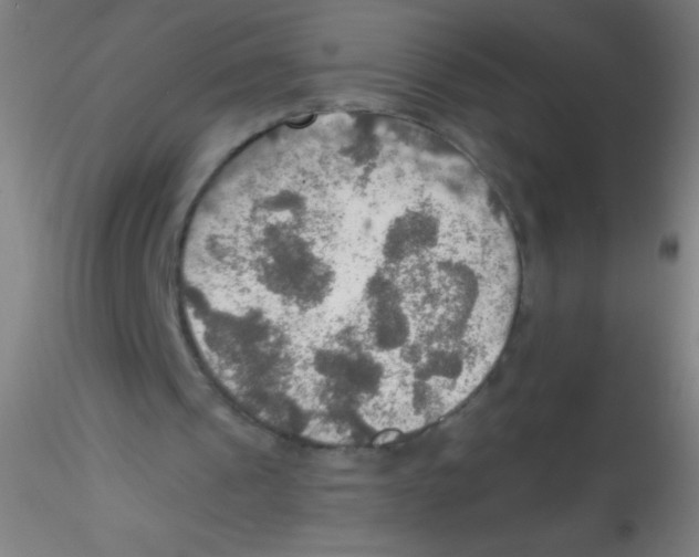 X0000115190241200911251426