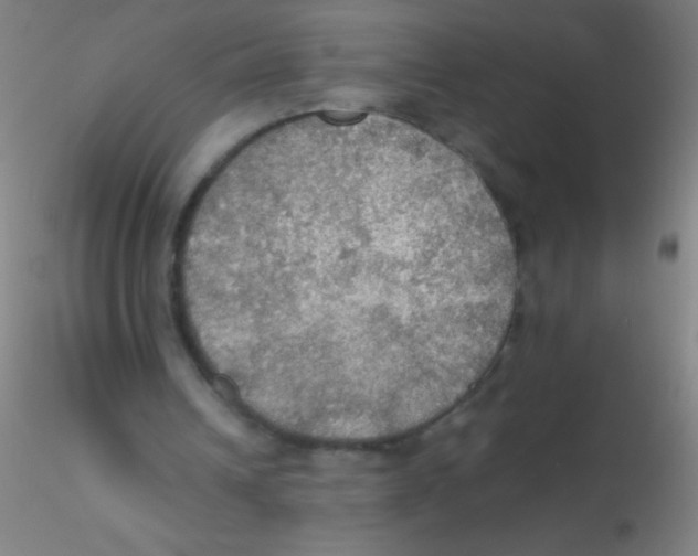 X0000115190242200911251426