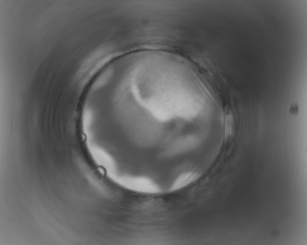 X0000115190243200911251426