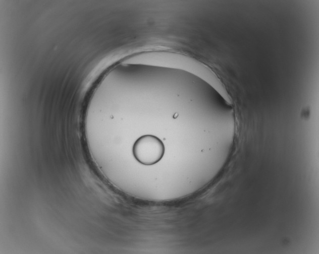 X0000115190244200911251426