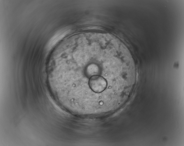 X0000115190245200911251426