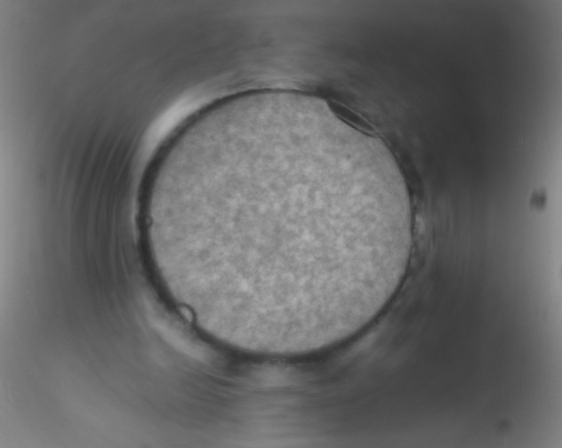 X0000115190246200911251426