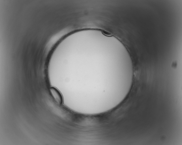 X0000115190248200911251426