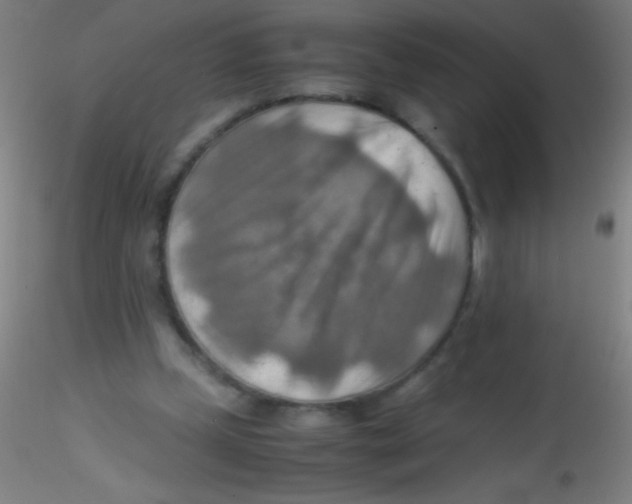 X0000115190249200911251426