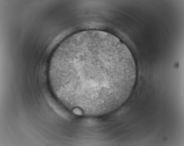 X0000115190250200911251426