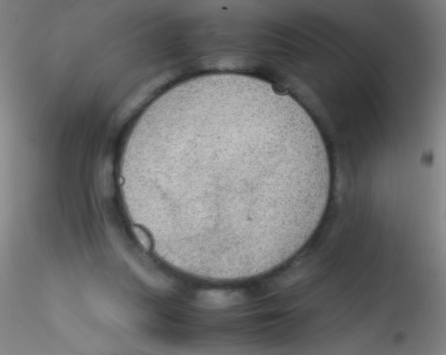 X0000115190251200911251426