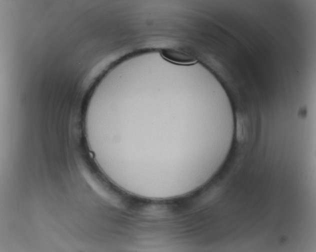 X0000115190252200911251426