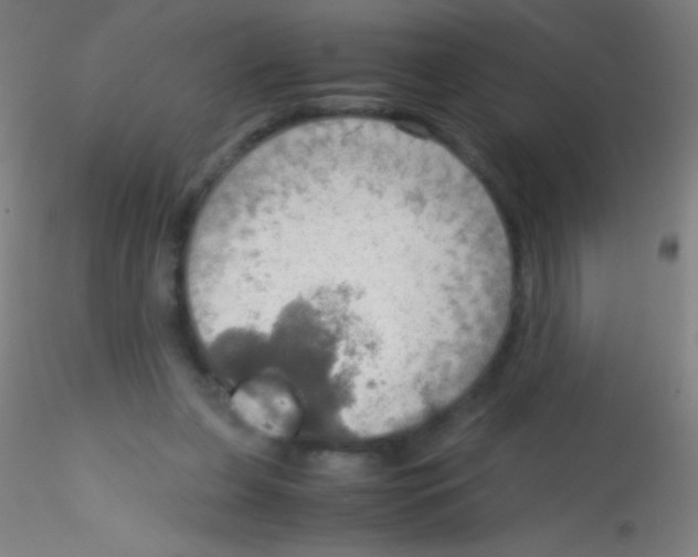 X0000115190255200911251426