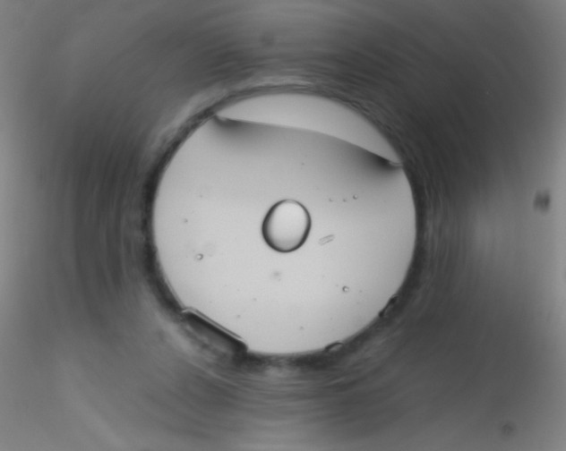 X0000115190256200911251426