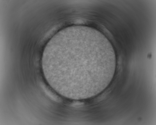 X0000115190257200911251426