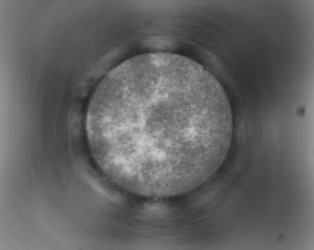 X0000115190259200911251426