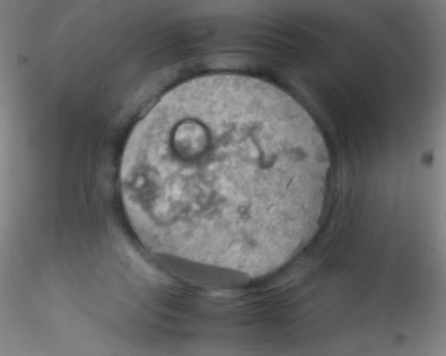 X0000115190261200911251426