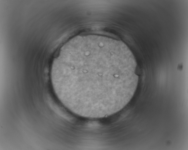 X0000115190262200911251426