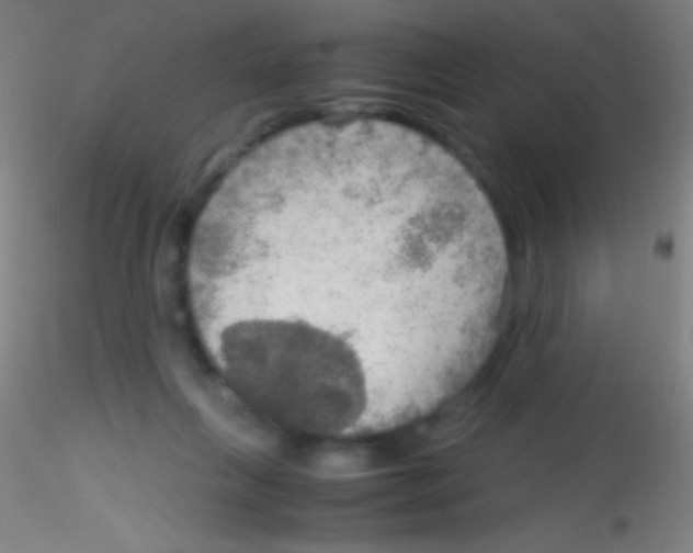 X0000115190263200911251426