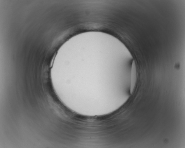 X0000115190264200911251426