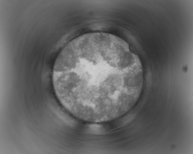 X0000115190265200911251426