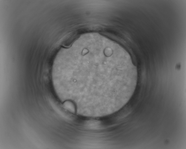 X0000115190266200911251426