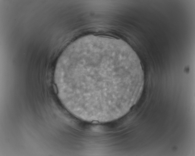 X0000115190268200911251426