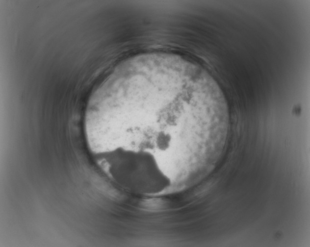 X0000115190269200911251426