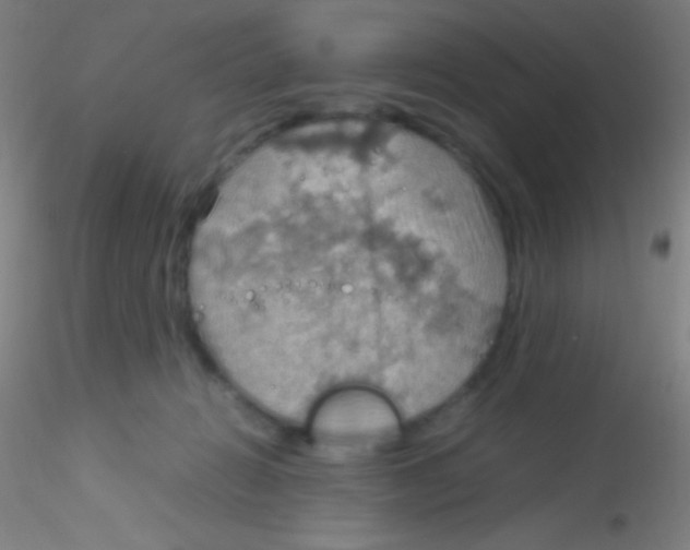 X0000115190270200911251426