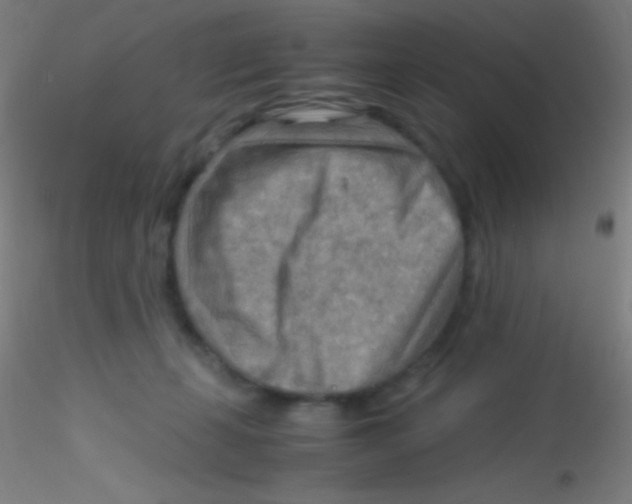 X0000115190271200911251426