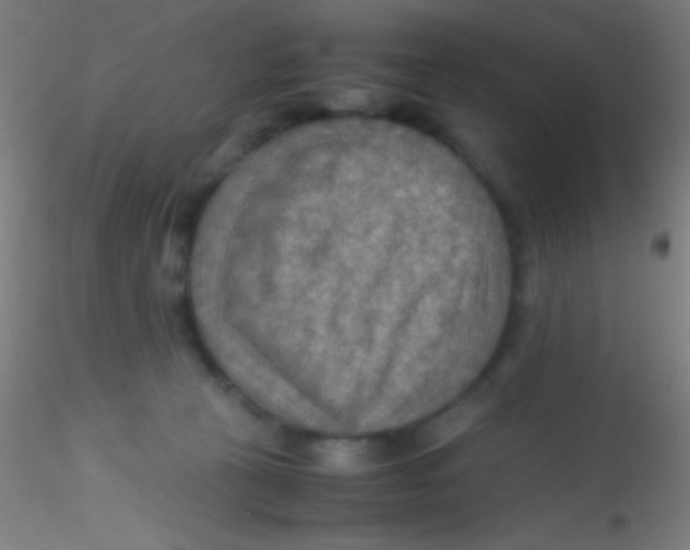 X0000115190273200911251426