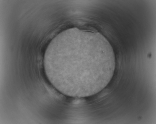 X0000115190274200911251426