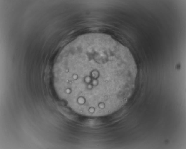 X0000115190275200911251426