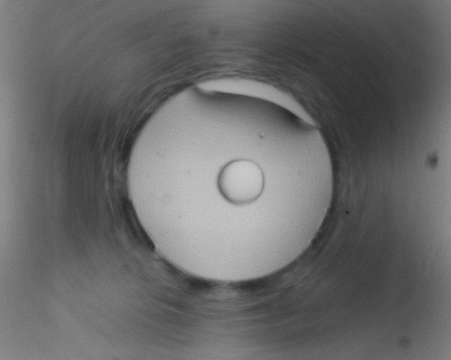 X0000115190276200911251426