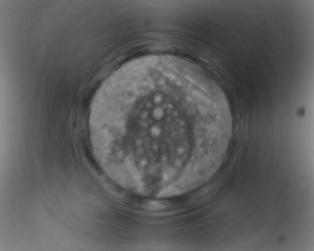 X0000115190277200911251426