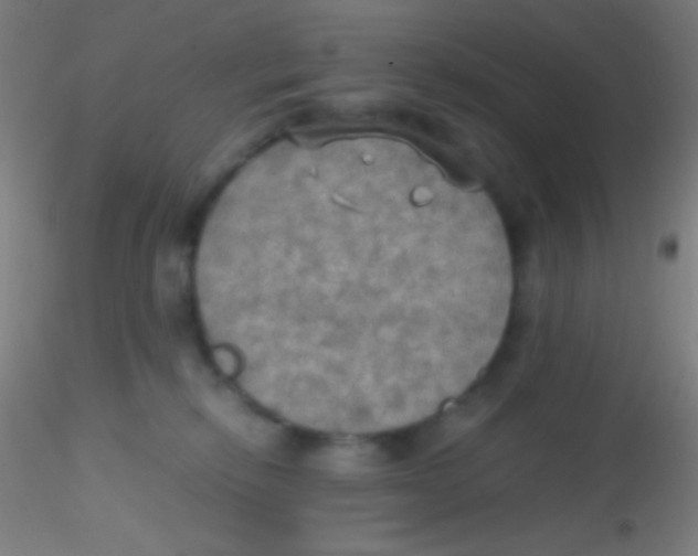 X0000115190278200911251426