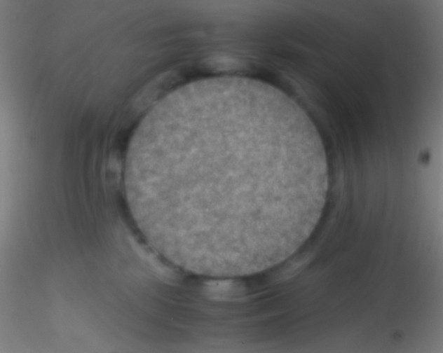 X0000115190281200911251426