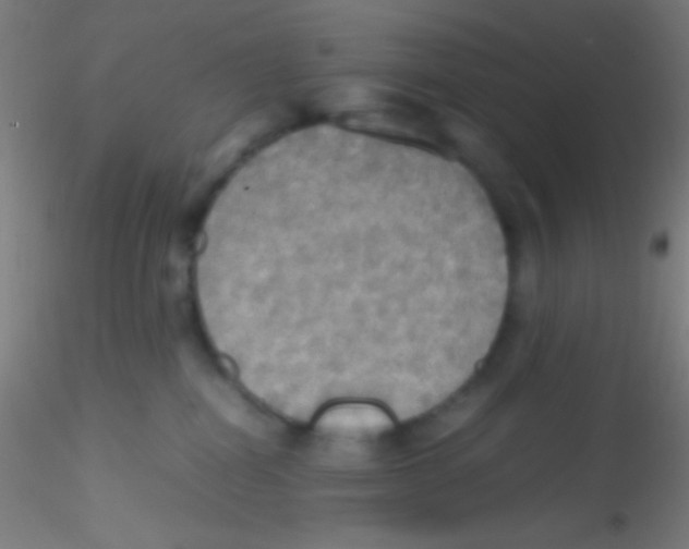 X0000115190282200911251426