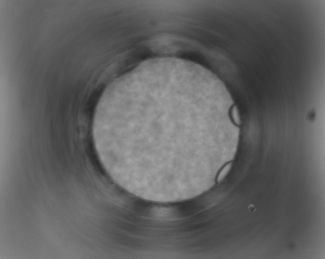 X0000115190283200911251426