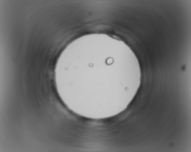 X0000115190284200911251426