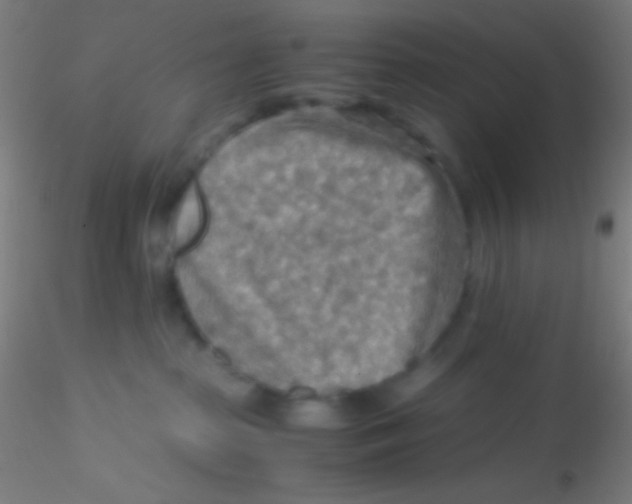 X0000115190285200911251426