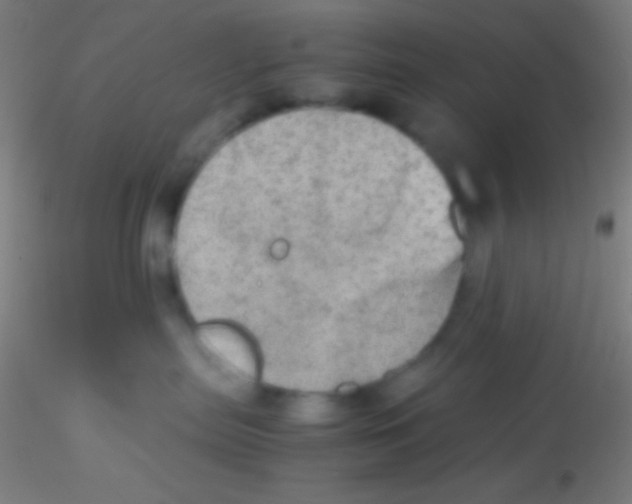 X0000115190287200911251426