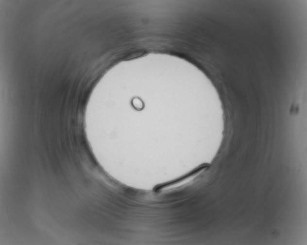 X0000115190288200911251426