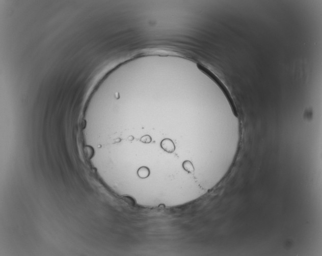 X0000115190289200911251426