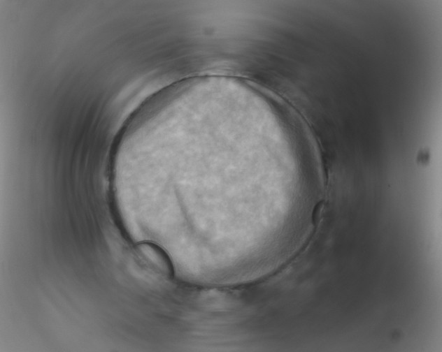 X0000115190290200911251426