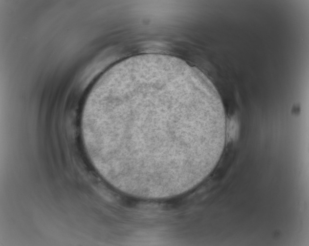 X0000115190291200911251426