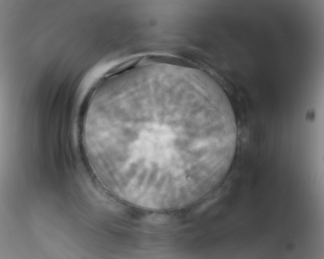 X0000115190294200911251426